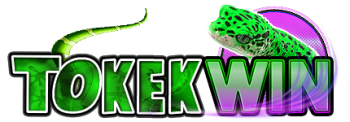 tokewin Logo